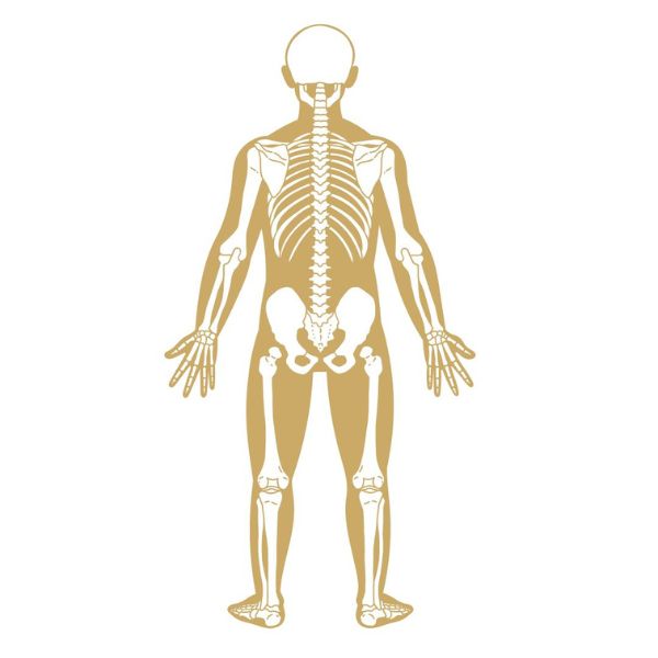 Into Balance Therapies - Pain and Conditions - Image is outline of Skeleton in gold